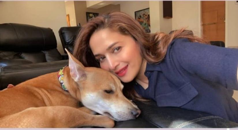 Madhuri Dixit reveals her favourite lockdown activity.