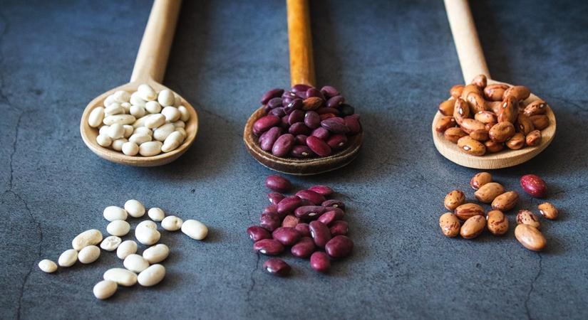 Power up your diet with pulses and legumes
