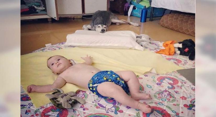 Kalki 'floors' all with her pic of daughter Sappho and pet.