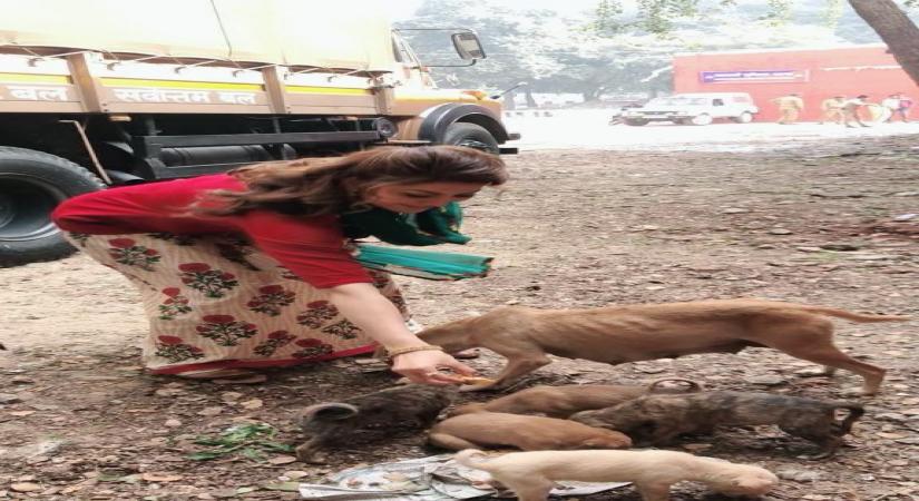 Urvashi Rautela urges people not to neglect stray animals.