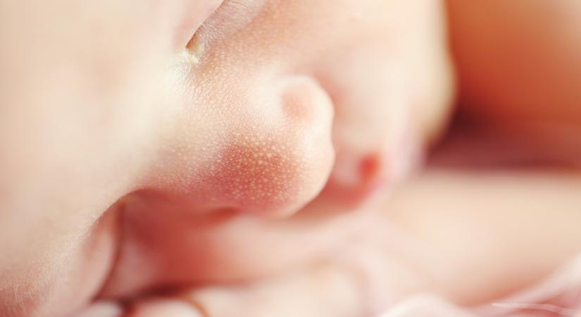 US births fall to 35-year low