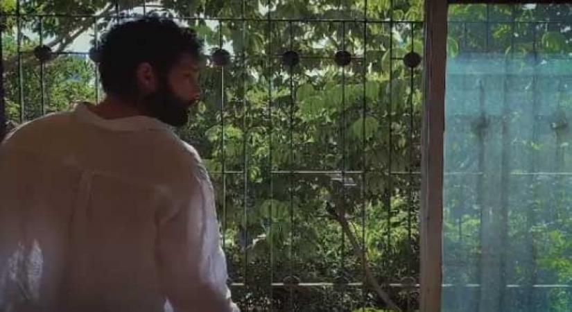 Siddhant Chaturvedi unveils 1st look of his song 'Dhoop'.