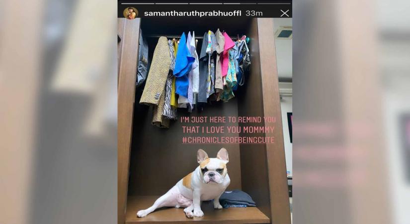 Samantha shares 'chronicles of being cute'.
