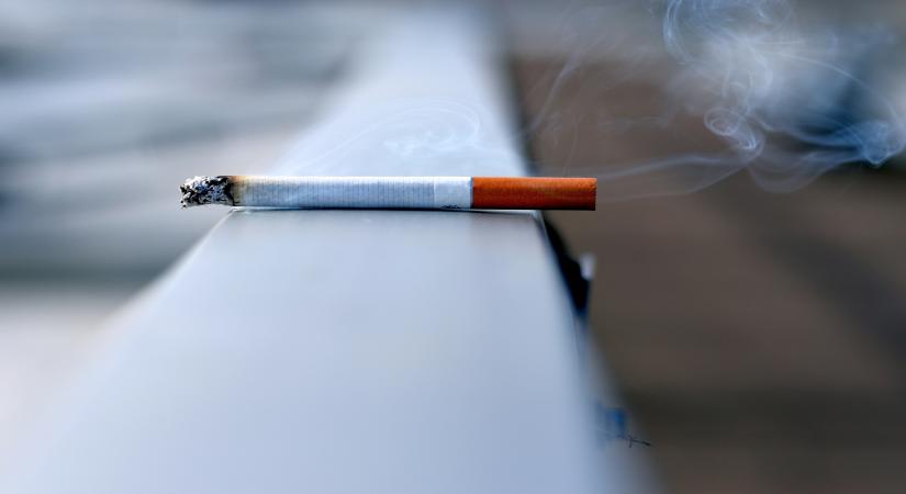 New York, June 6 (IANS) Researchers have found that that nicotine, a non-carcinogenic chemical found in tobacco, actually promotes the spread of lung cancer cells into the brain where they can form deadly metastatic tumours.