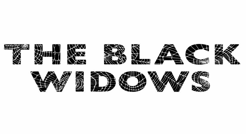 UK show ' Black Widows' to get Indian remake.