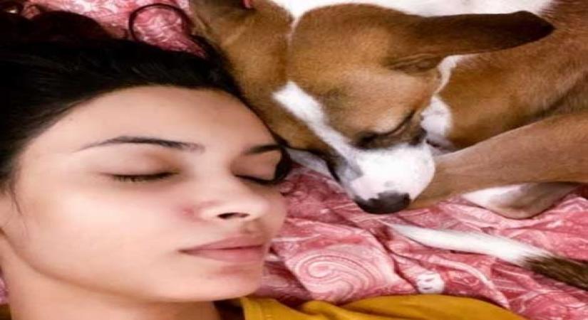 Diana Penty shares picture with her 'nap buddy'.
