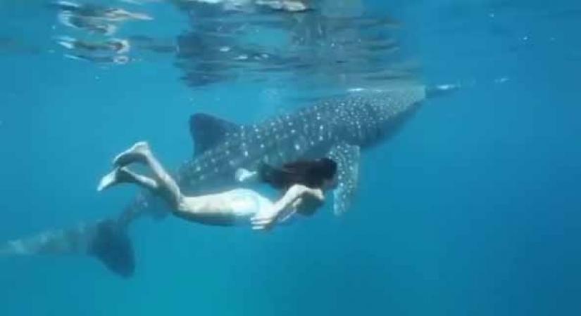 When Katrina Kaif went swimming with her 'most incredible friend'.