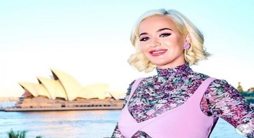 Pregnant Katy Perry misses drinking.