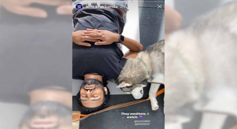 Kriti Kharbanda watches Pulkit, pet dog 'meditate'.