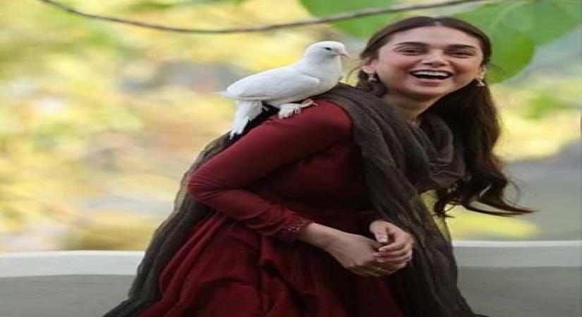 Mumbai, July 10 (IANS) Actress Aditi Rao Hydari has shared the only nation she plans on visiting in 2020 in a hilarious new social media post.
