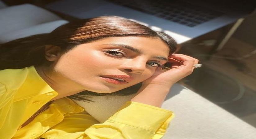 Priyanka's work selfies make Nick mushy.