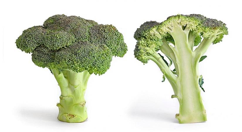 broccoli.