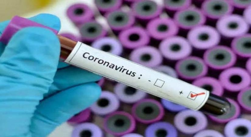coronavirus.