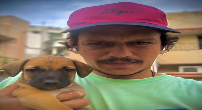 When Vijay Varma out-spammed a spam account