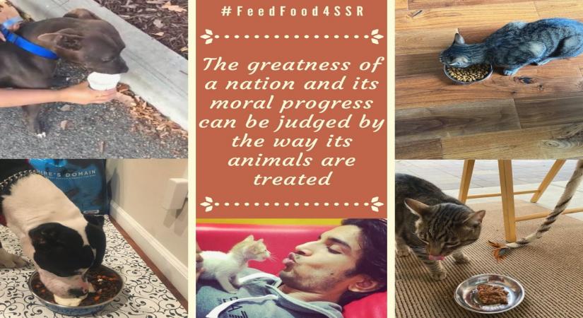 Sushant's sister initiates #FeedFood4SSR in late actor's memory.