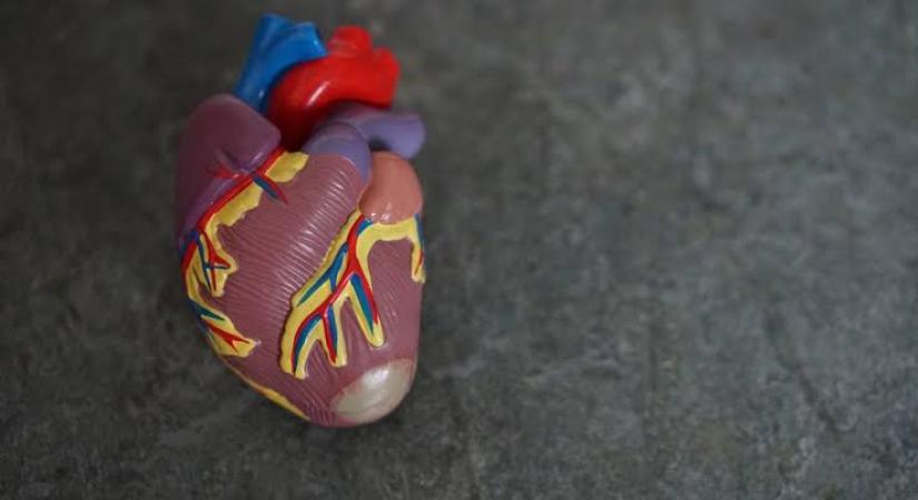 8 Risk Factors That Can Lead To Heart Failure Ians Life