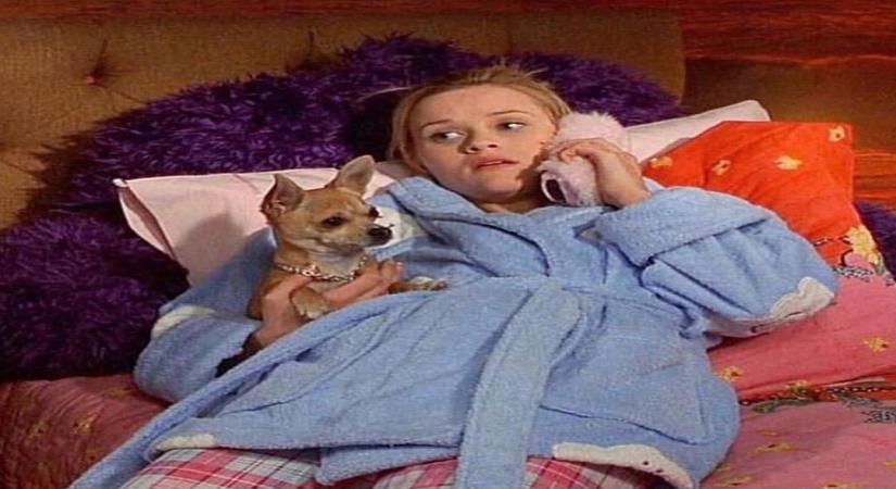 Legally Blonde 3 set for May 2022 release