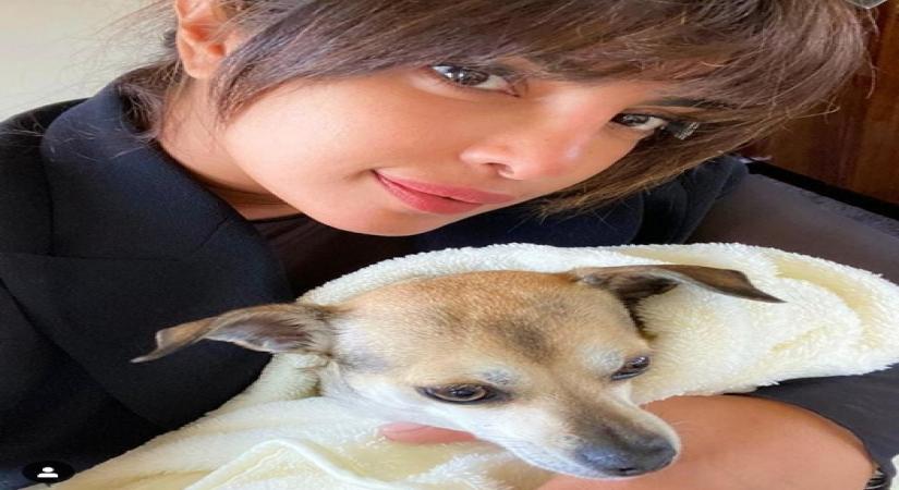 Priyanka Chopra Jonas reveals who her 'fav co-worker' is