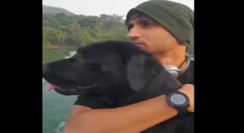 Sushant Singh RajputÃ¢ÂÂs pet dog still waits for him