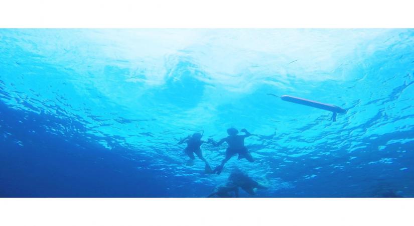 Kajal Aggarwal, hubby go deep sea diving on honeymoon in Maldives.
