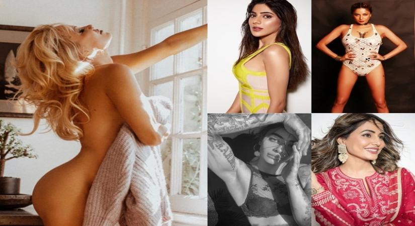 Bigg Boss: Style icons who've added to the wow factor.