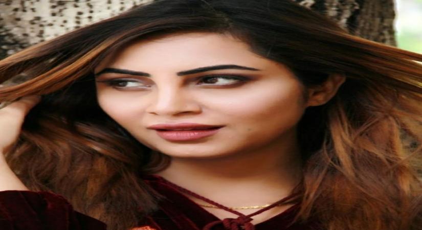 Bigg Boss 14: Can Arshi afford to get cheeky with Salman Khan?