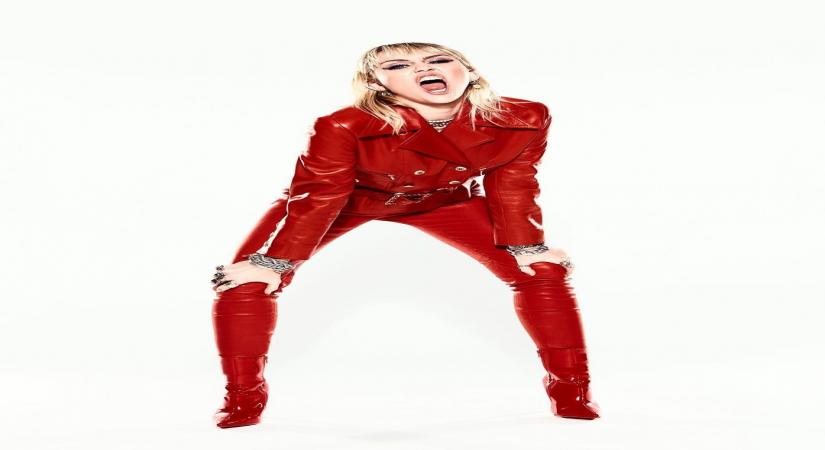 Miley Cyrus's marriage with Liam Hemsworth had 'too much conflict'.