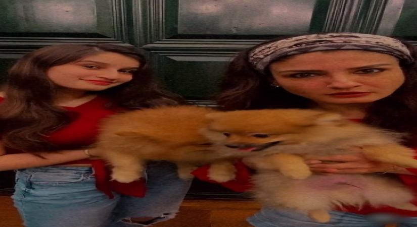 Raveena Tandon joins Shehnaaz Gill's 'Sadda kutta kutta' viral meme