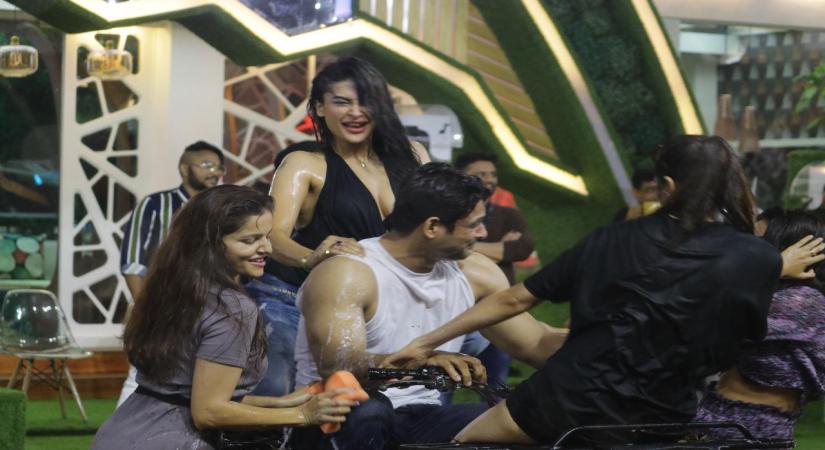 Bigg Boss: Housemates who were shown the door over behavioural issues