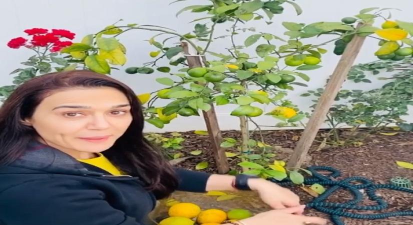 Preity Zinta is back to 'ghar ki kheti'.