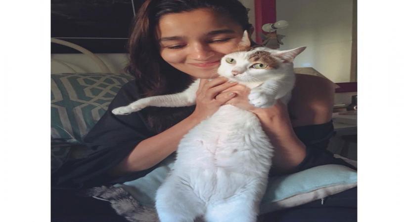 Bollywood actress Alia Bhatt on Friday mourned the death of her pet cat Sheeba. The actress also shared a couple of photographs on Instagram where she is seen posing with Sheeba.
