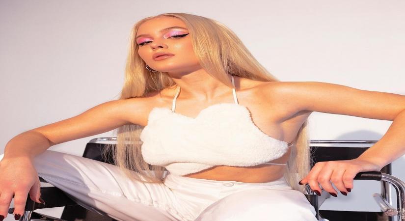 Singer Zara Larsson reveals her favourite make-up look (Credit: Instagram)