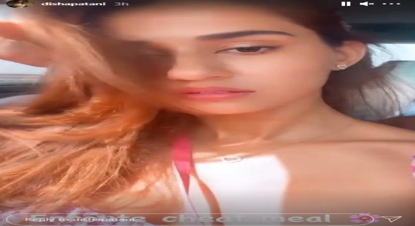 Disha Patani spends Sunday indulging on 'cheat meal'.(photo:instagram)