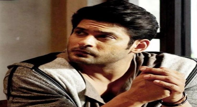 Desi web shows to watch out for in 2021