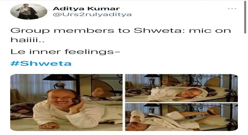 How Big B, Hrithik became part of Viral zoom goof up