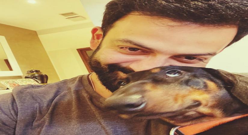 Prithviraj's pet dog has an 'eye' for wonky photo-op! (credit: Instagram)