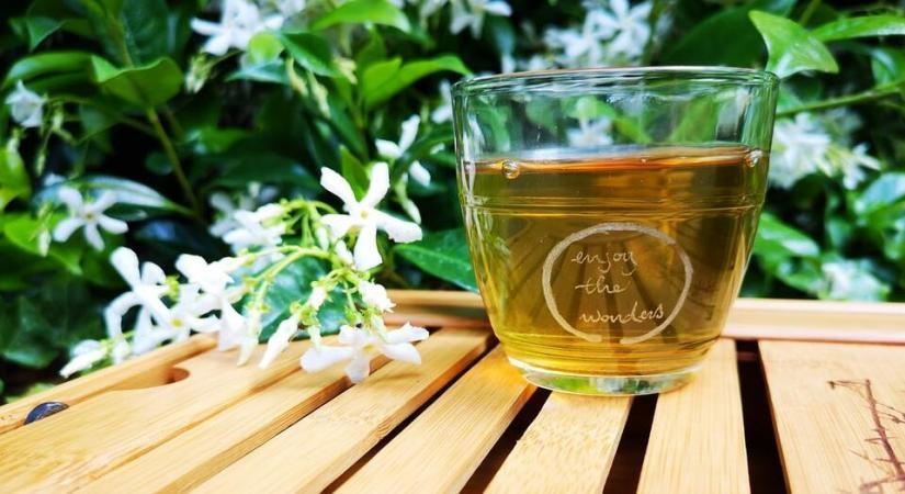 Revisit the proven benefits of green tea, before your incorporate it in your diet