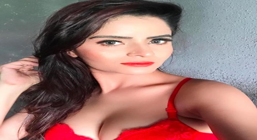 Actress Gehana Vasisth aka Vandana Tiwari, who has been arrested on allegations of shooting and uploading pornography videos on her website, is being falsely implicated, claimed her publicist.