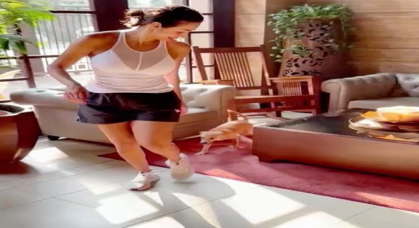 Malaika Arora shares her 'daily shenanigans' (Credit: Instagram)