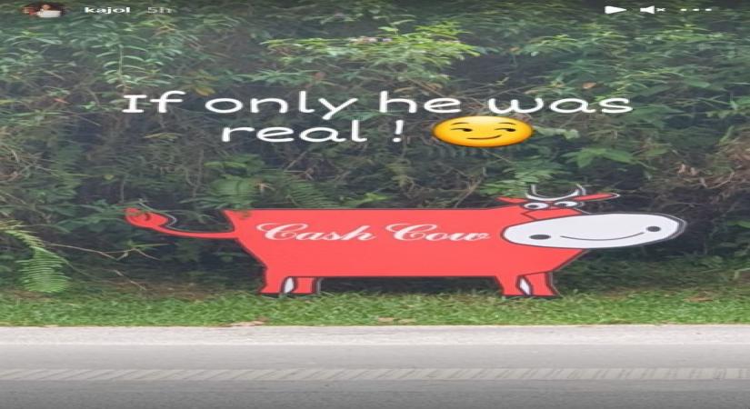 Bollywood actress Kajol is known for her sarcasm and sense of humour. On Thursday, she shared a hilarious post on her Instagram story hinting that she is looking for a cow that milks cash! (Instagram)