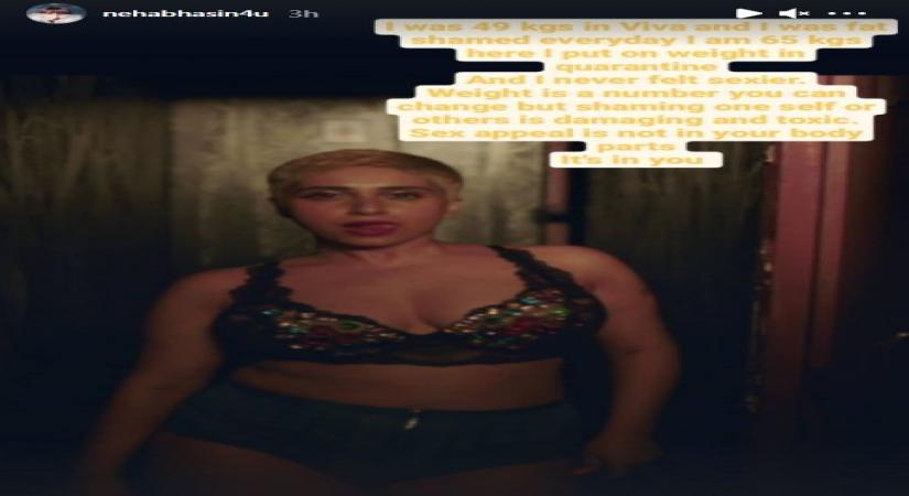 Singer Neha Bhasin on Monday revealed that she was fat-shamed regularly during her stint with the pop group Viva, but has now learnt how to feel sexier in her skin.