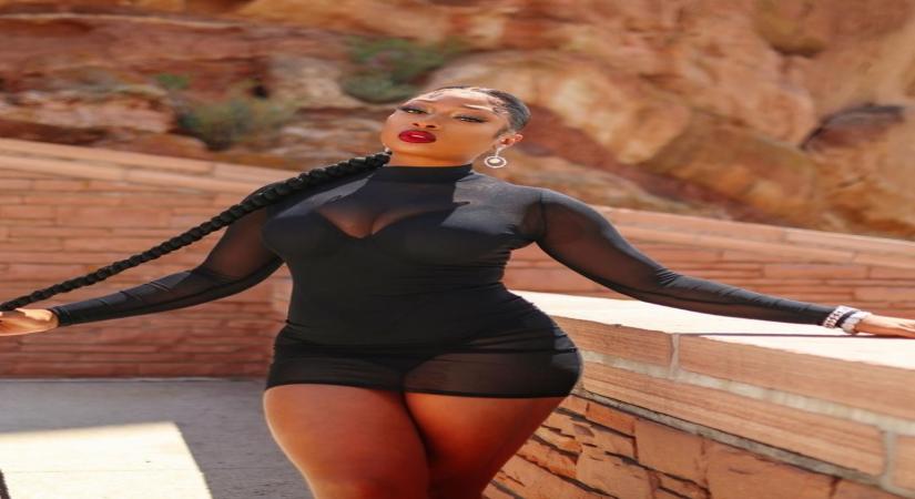 Grammy nominated musician Megan Thee Stallion is helping her native town Houston get back to its feet, following the devastation due to heavy snowfall and sub-zero temperatures across the state of Texas, caused by the winter storm Uri last month. (Instagram)