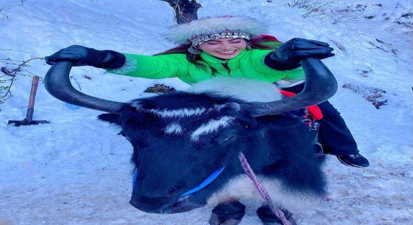Urvashi Rautela poses on yak to celebrate 35 million Instafam.(photo:Instagram)