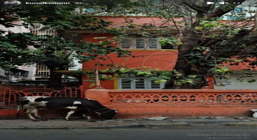 Actor Kunal Kemmu has clicked a series of pictures of the city, giving creative vent to his love for photography. The actor took to the streets of Mumbai to capture the spirit of the city through his lens.