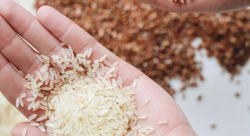 Rice, source: Pexels