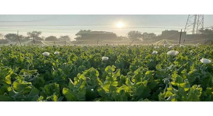 Namit Das gets nostalgic about 'Aarya' shoot