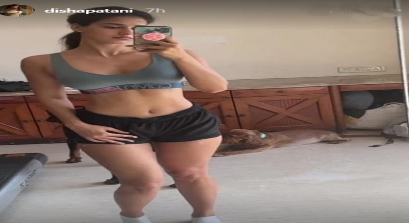 Disha Patani flaunts washboard abs