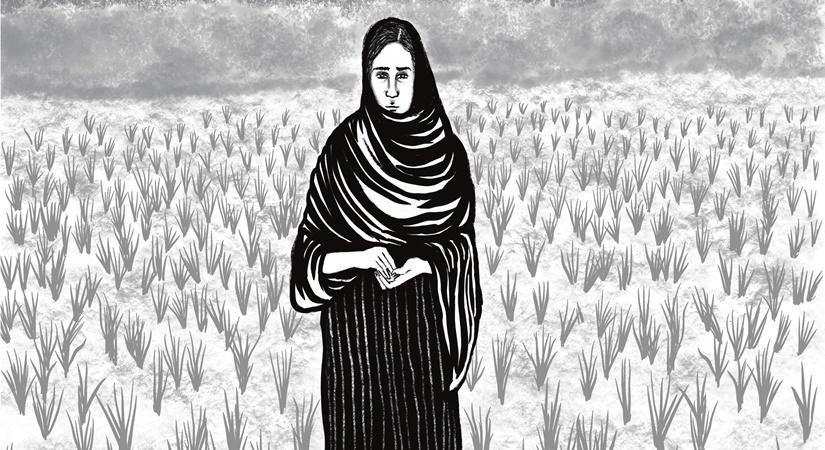 Drawing social narratives