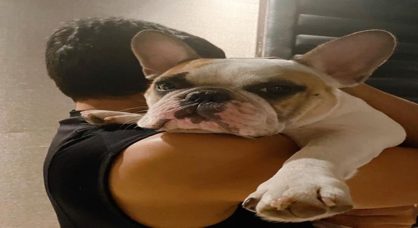 Samantha Akkineni: Hang in there, it gets better.(Photo:Instagram)