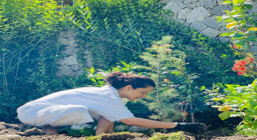 Kangana plants trees in Tauktae aftermath; requests BMC, Gujarat govt to follow suit (photo:Instagram)